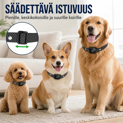 Älykäs haukunestopanta koirille