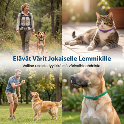 Kirppu- ja punkkipanta lemmikeille