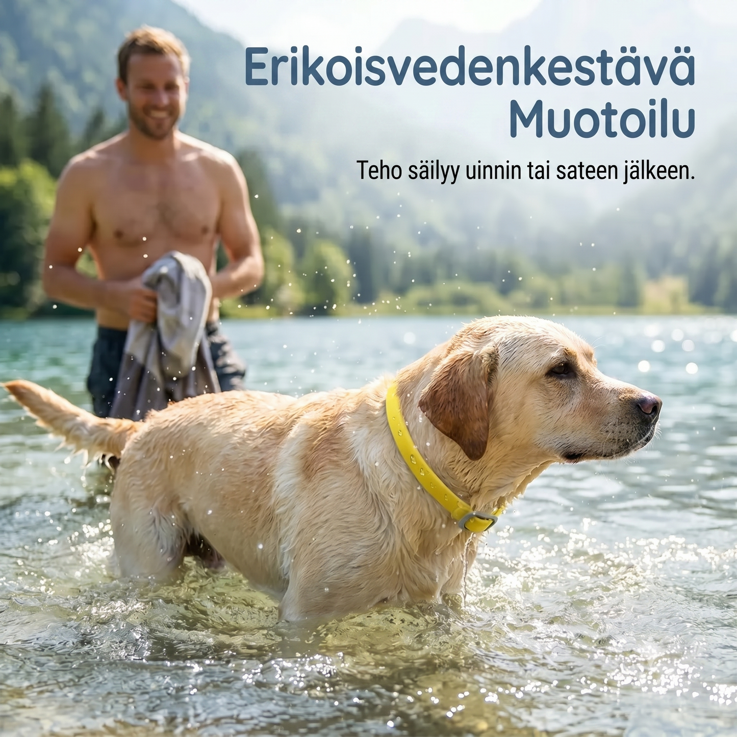 Kirppu- ja punkkipanta lemmikeille