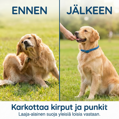 Kirppu- ja punkkipanta lemmikeille