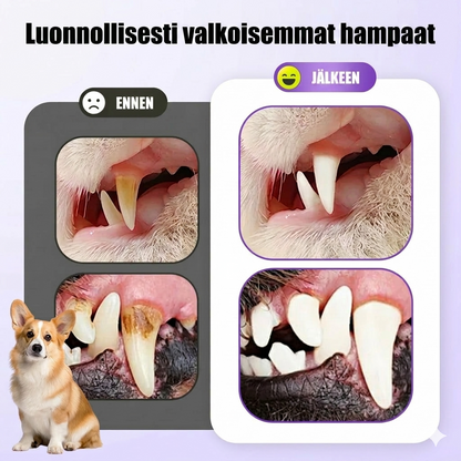 Suunhoitogeeli lemmikeille