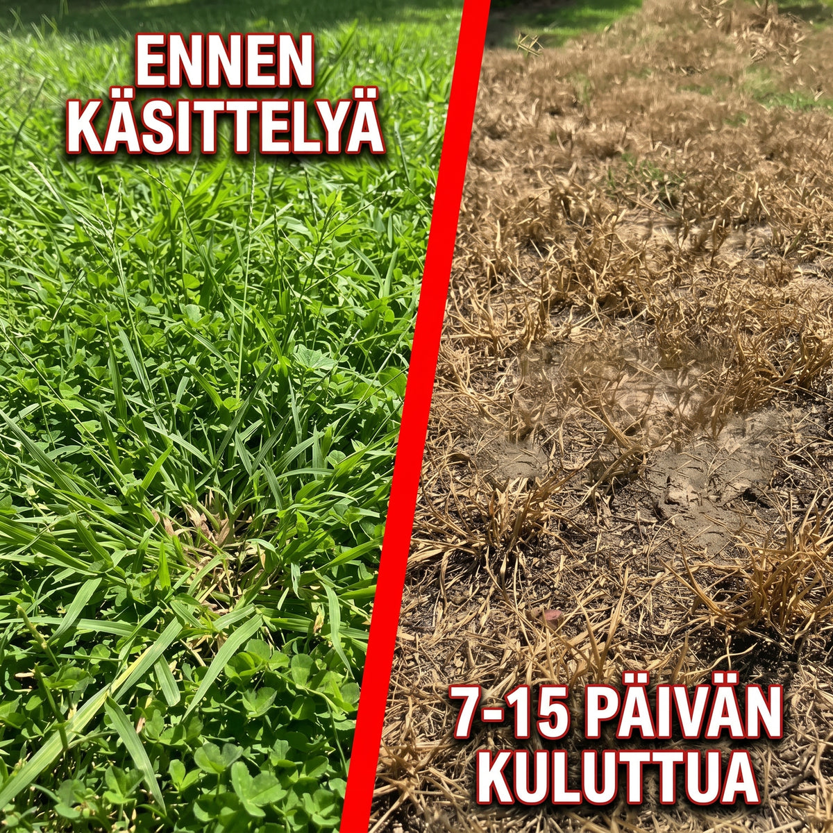 2-in-1 rikkakasvien torjunta-aine puutarhaan ja terassille