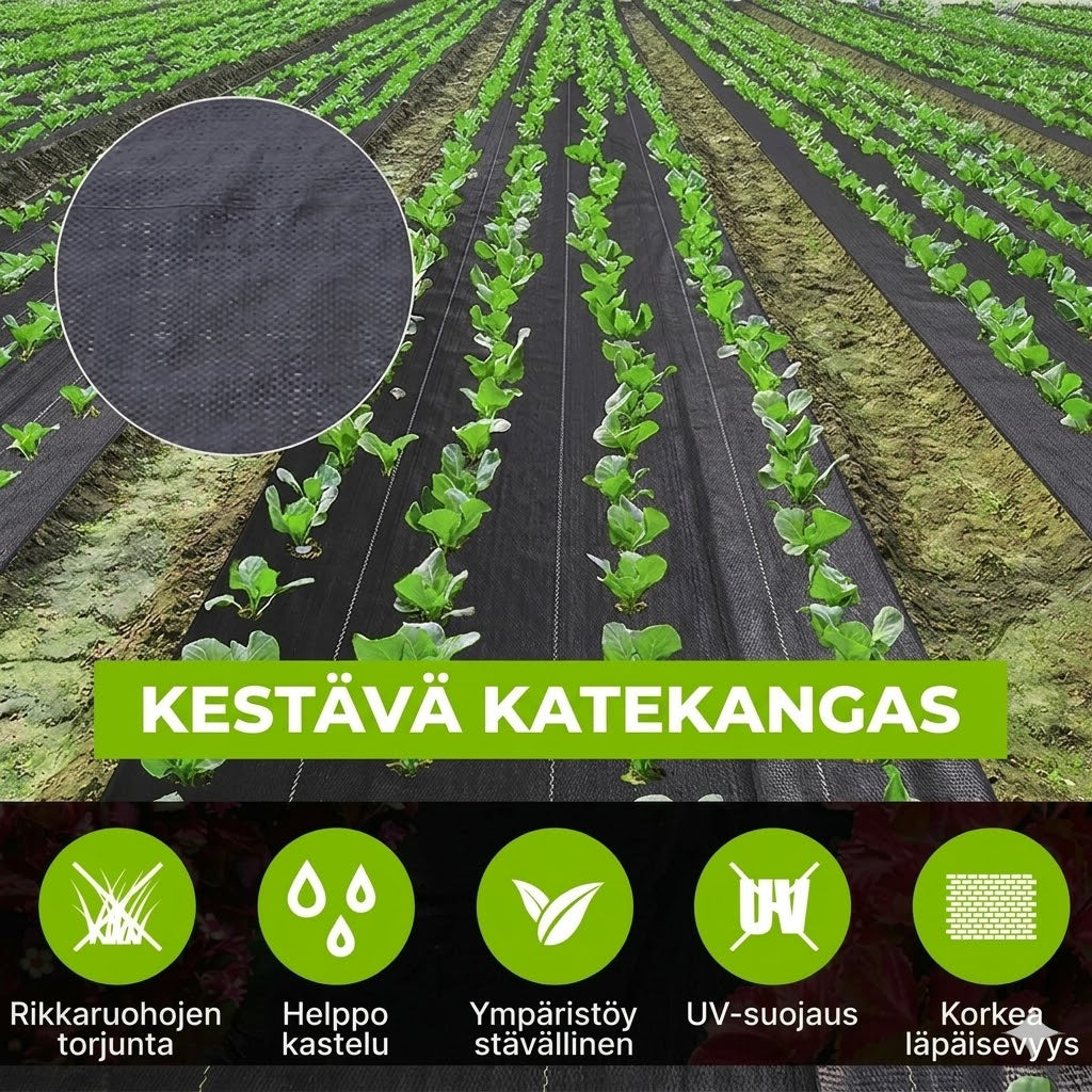 Biohajoava rikkaruohokangas