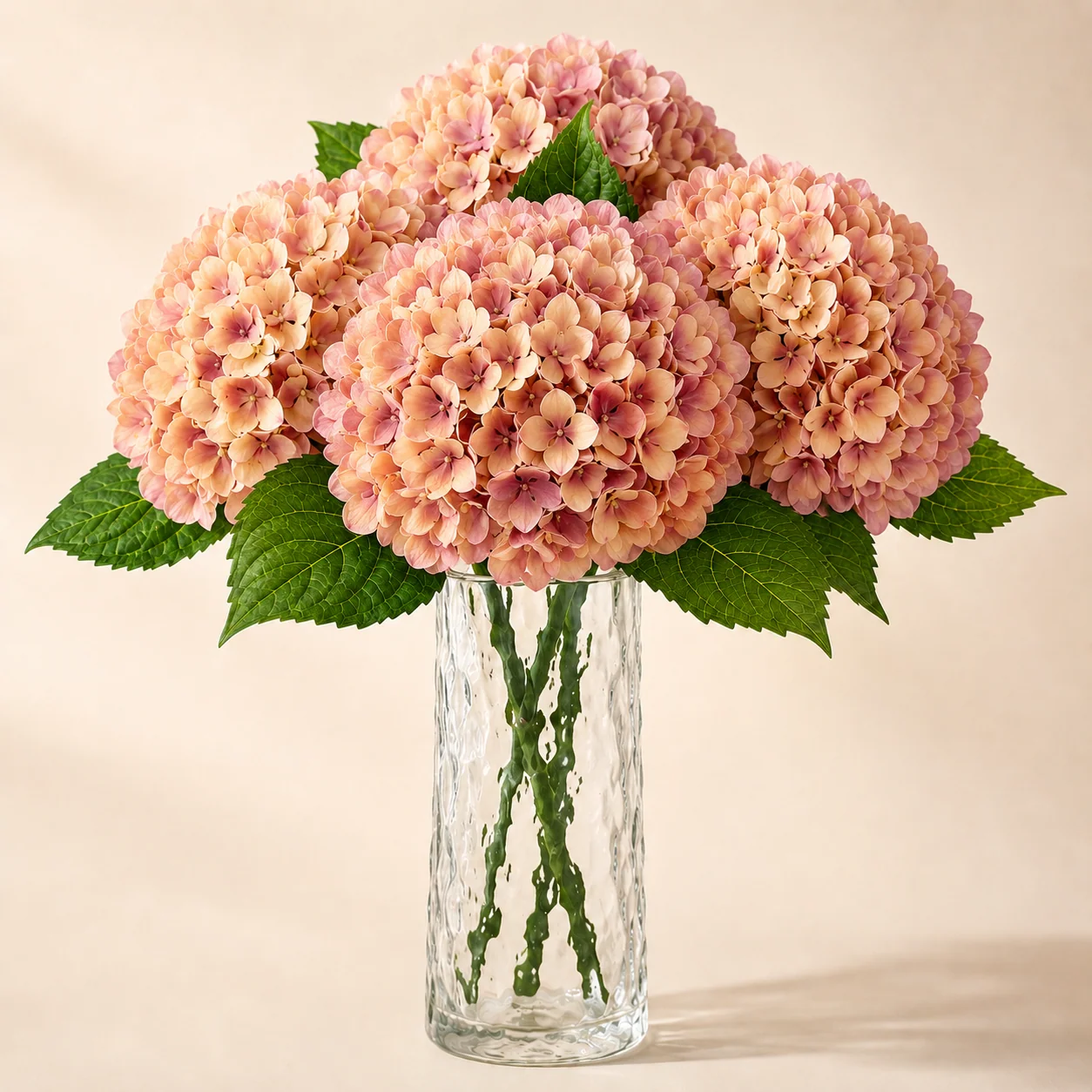 Syksyn väriset Everbloom Real Touch -keinohortensiat