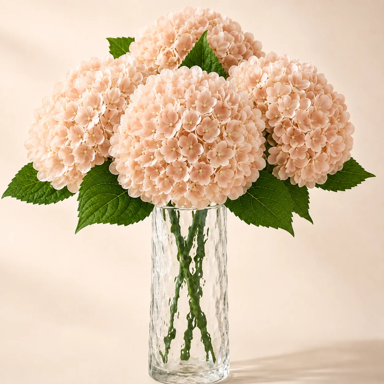 Syksyn väriset Everbloom Real Touch -keinohortensiat